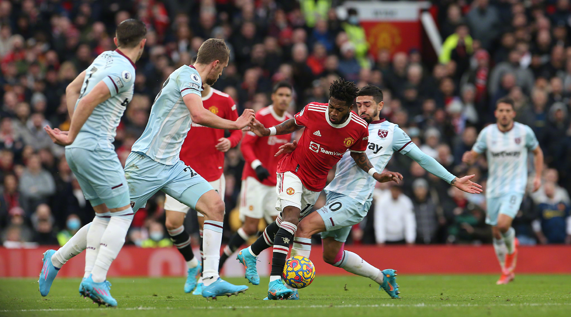 的情感纽带 的情感纽带